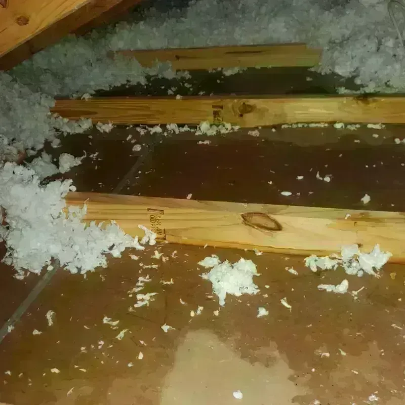 Attic Water Damage in Fair Grove, MO